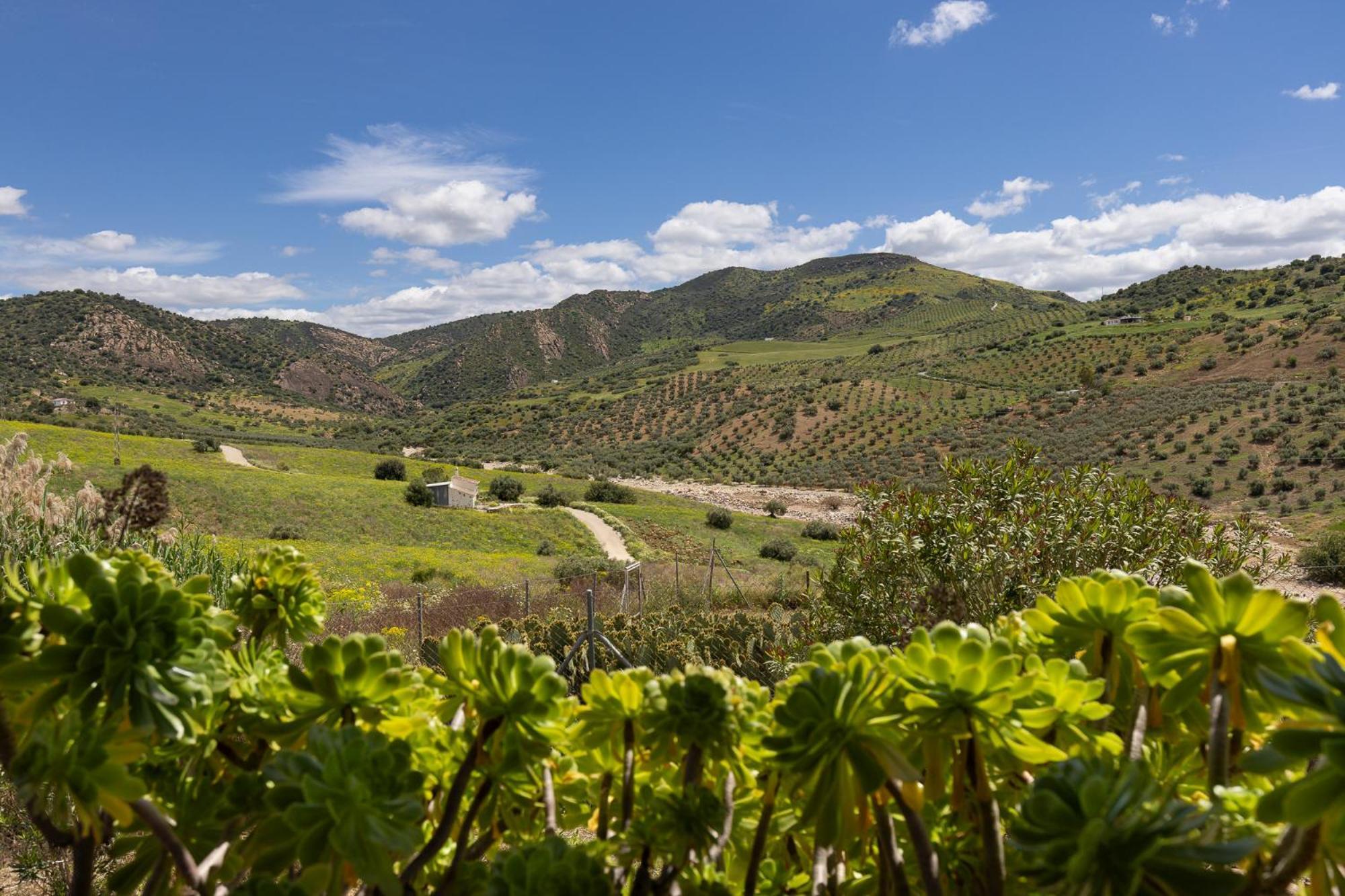 Boutique B&B Cortijo Valverde Alora Luaran gambar